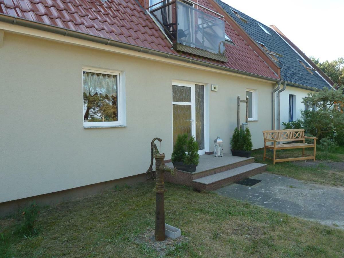 Romantisches Ferienhaus Boddenblick Mit Sauna Pruchten 外观 照片